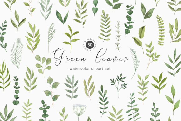 Elevate Your Designs with Watercolor Greenery Botanical Clipart