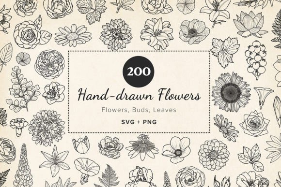 Elevate Your Projects with Hand-Drawn Botanical SVGs